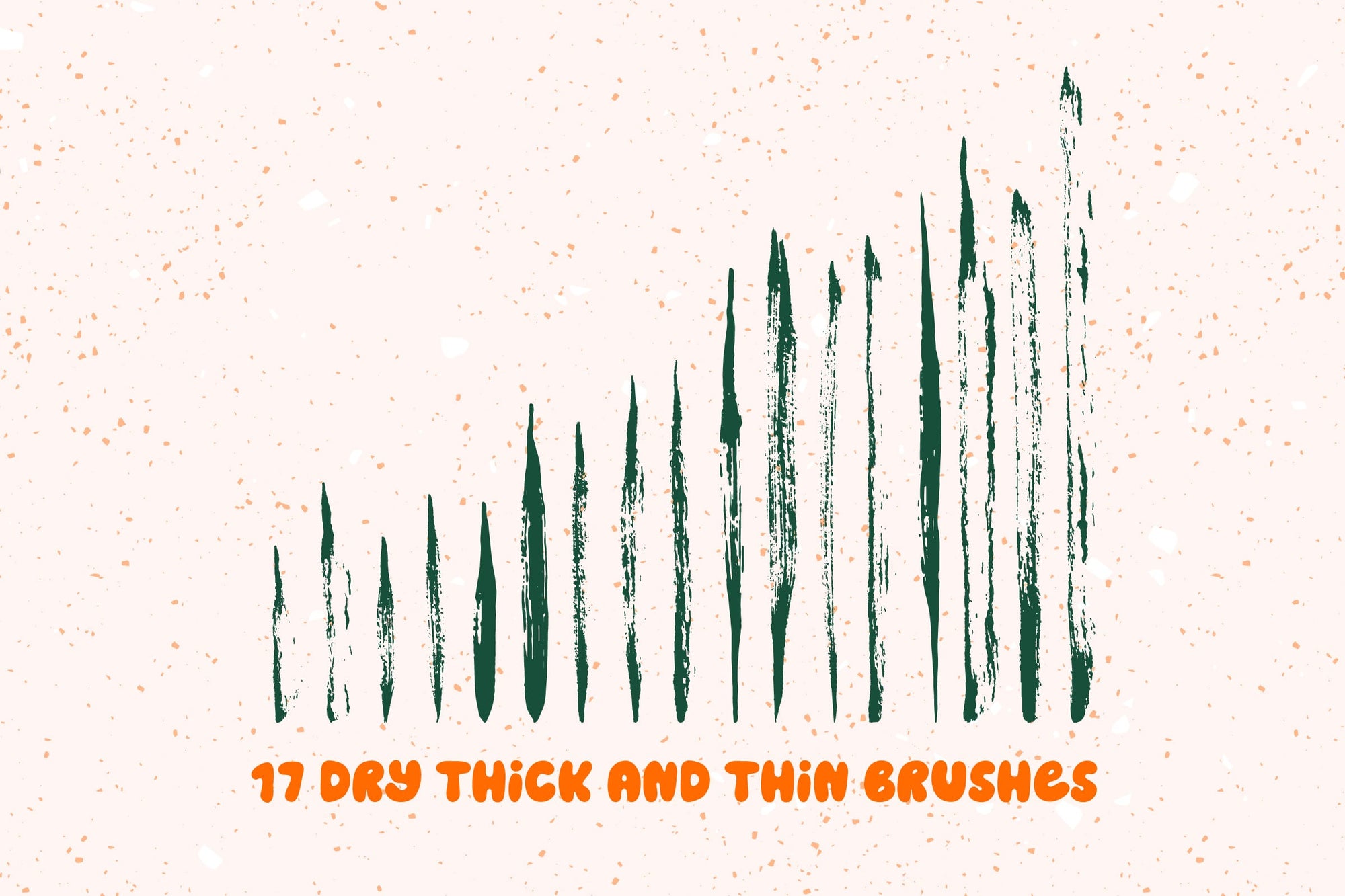 Seventeen vertical Adobe Illustrator Bristles and Strokes brushes in varying thicknesses, depicted in dark green on a speckled light orange background by Esther Nariyoshi Studio.